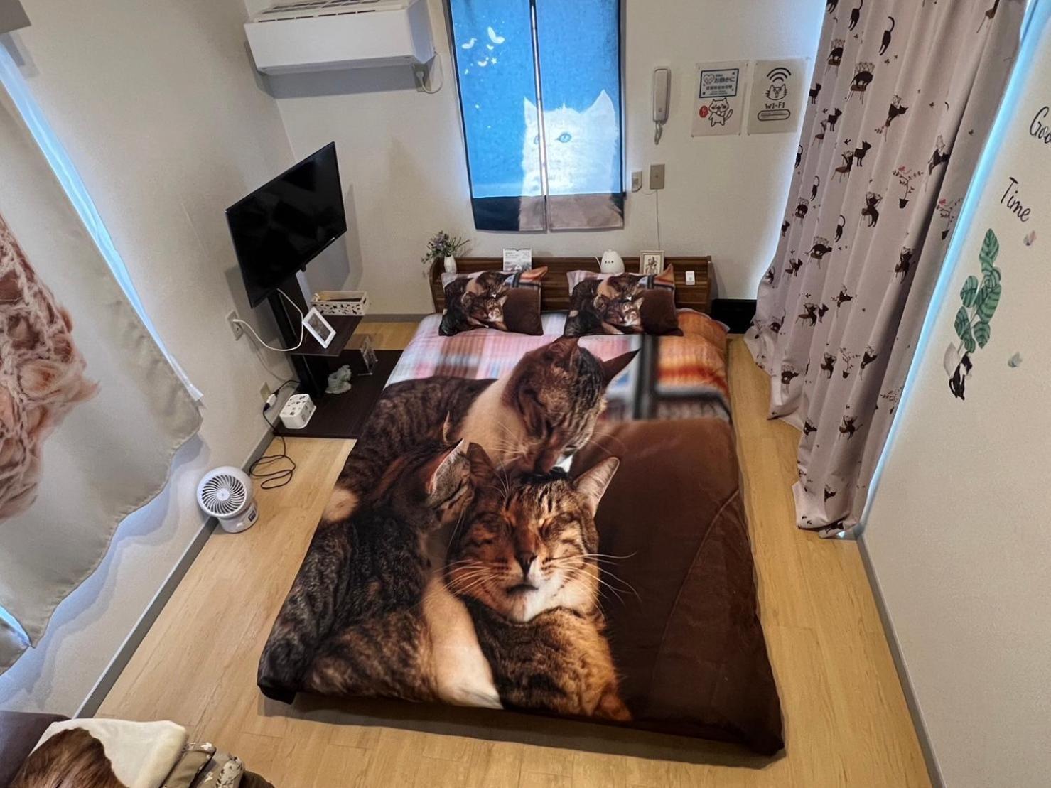 Shibuya Shinjyuku Cat House ! Apartment Tokyo