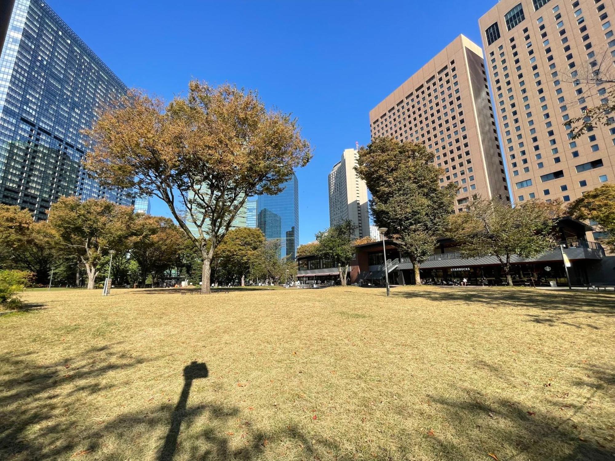 Max4people Shinjuku 7minutes Shibuya12 Minutes 5minutes Walk From Hatsudai Station Leon Shibuya * Tokyo