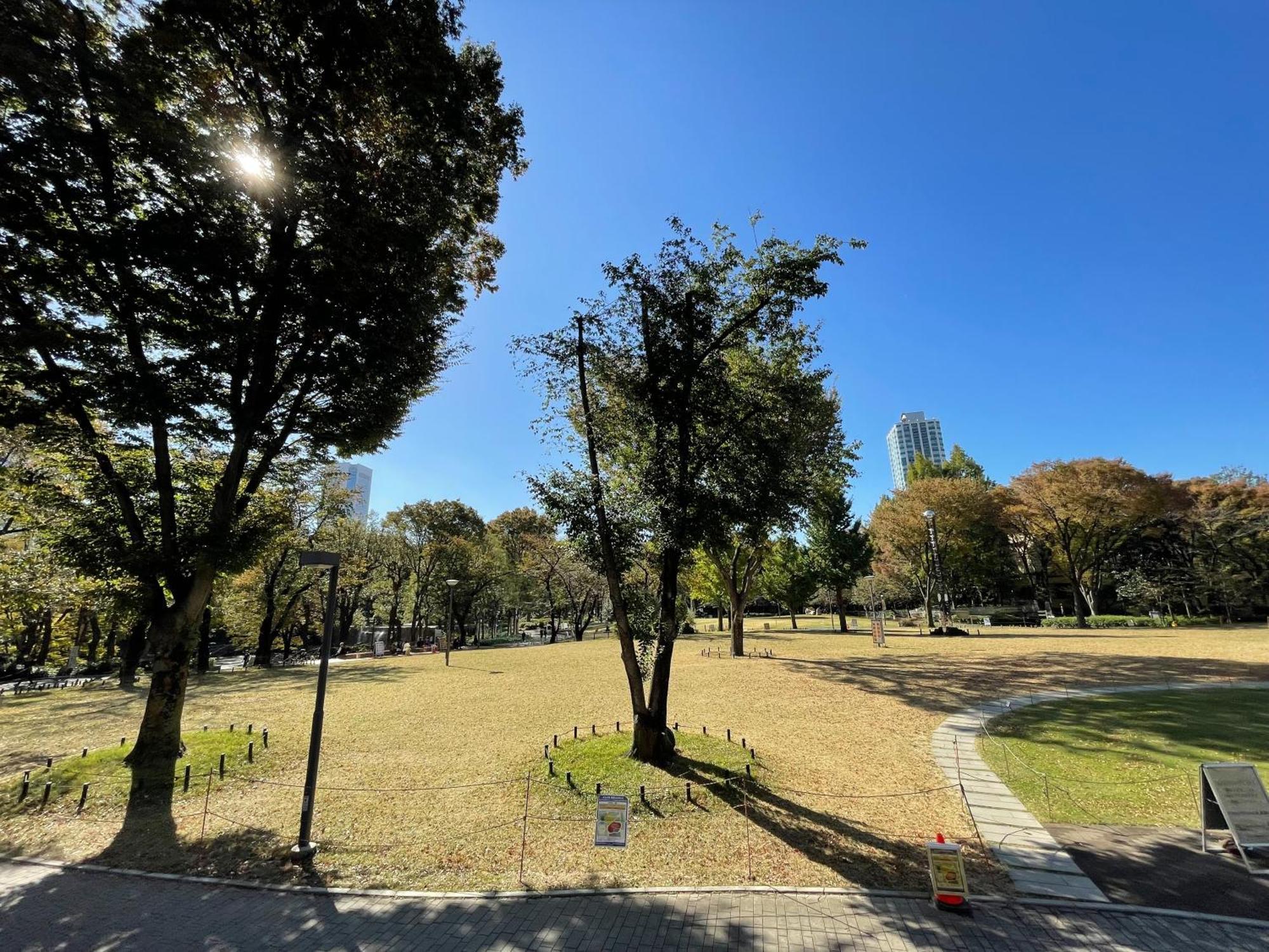 Max4people Shinjuku 7minutes Shibuya12 Minutes 5minutes Walk From Hatsudai Station Leon Shibuya Apartment *