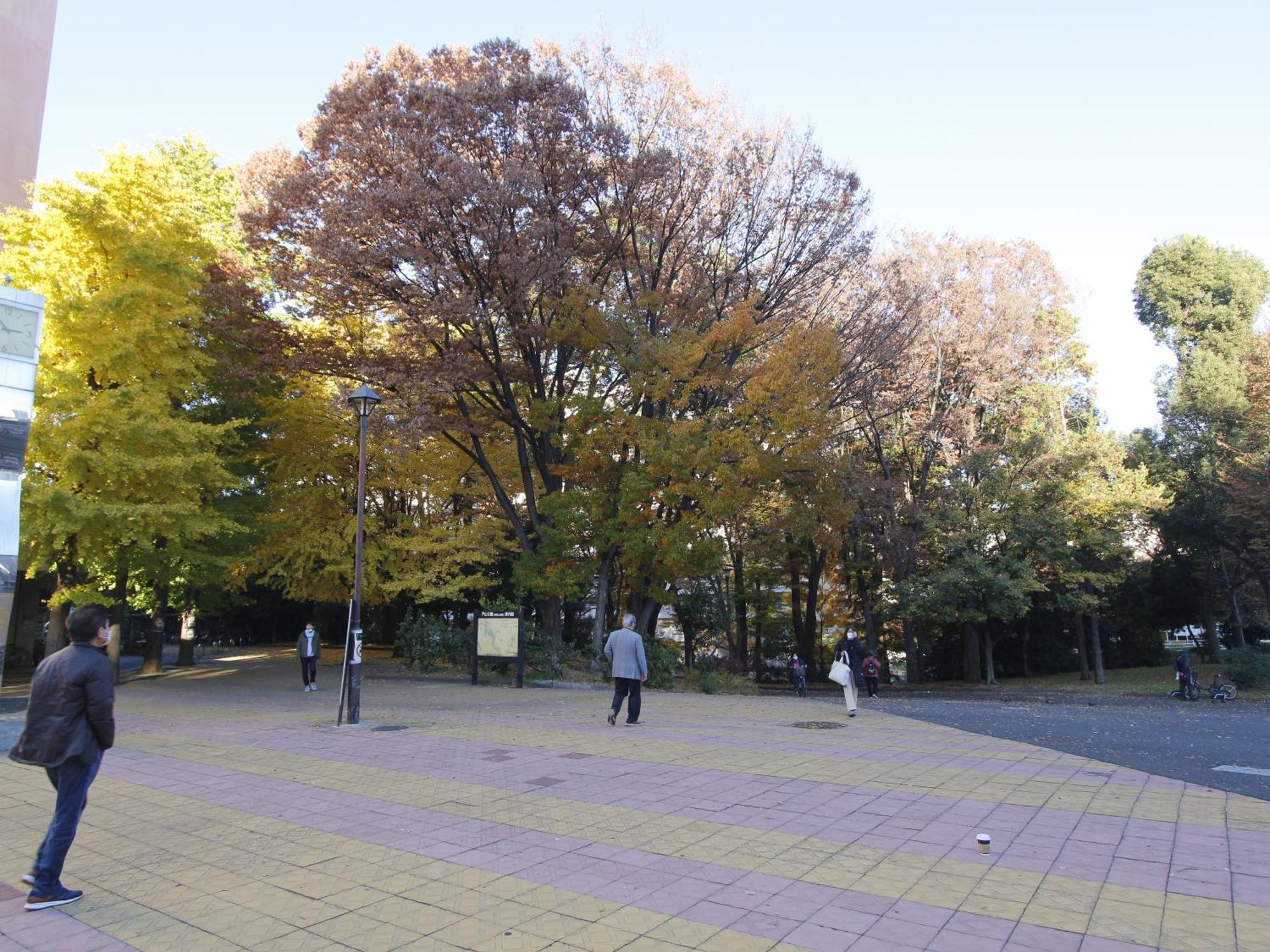 Apartment 和貴ビル