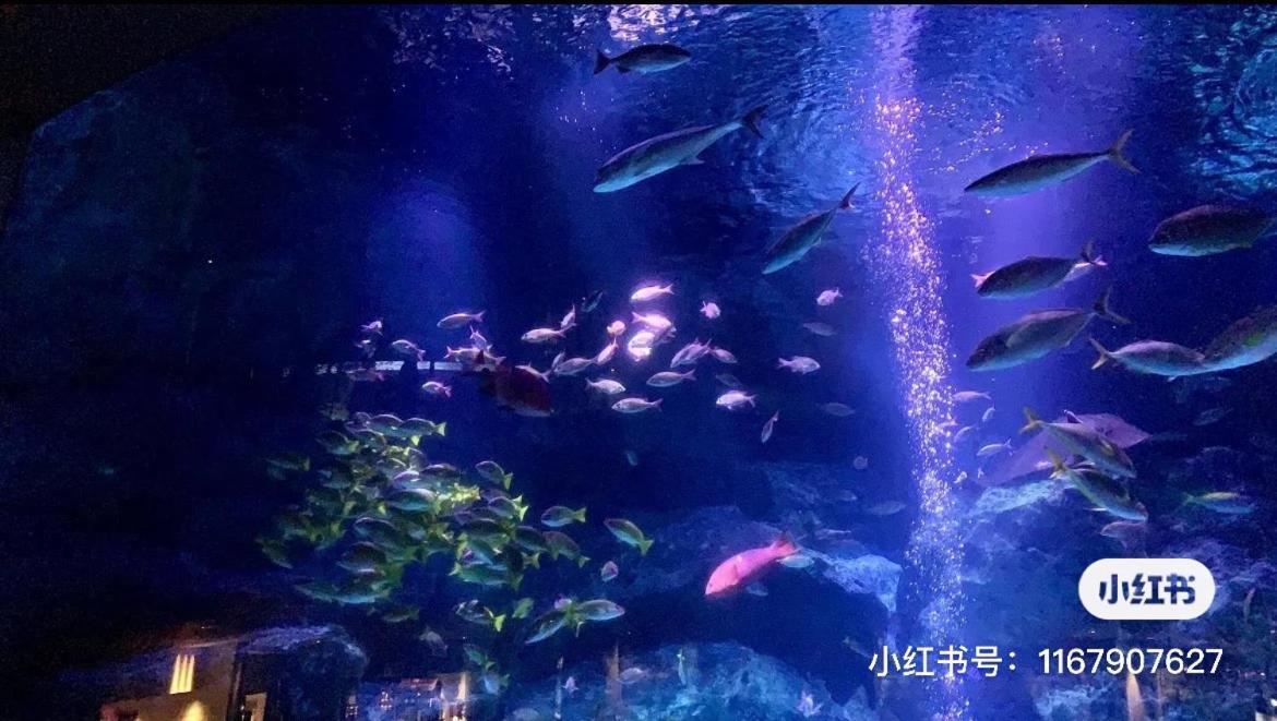 Sky House晴空塔 双人间1 带独立厕所 共用浴室 Apartment