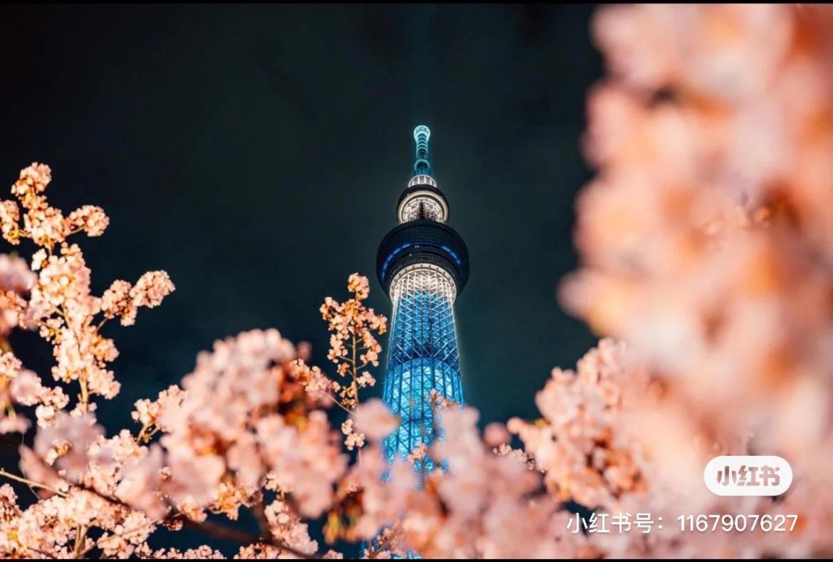 Sky House晴空塔 双人间1 带独立厕所 共用浴室 Tokyo