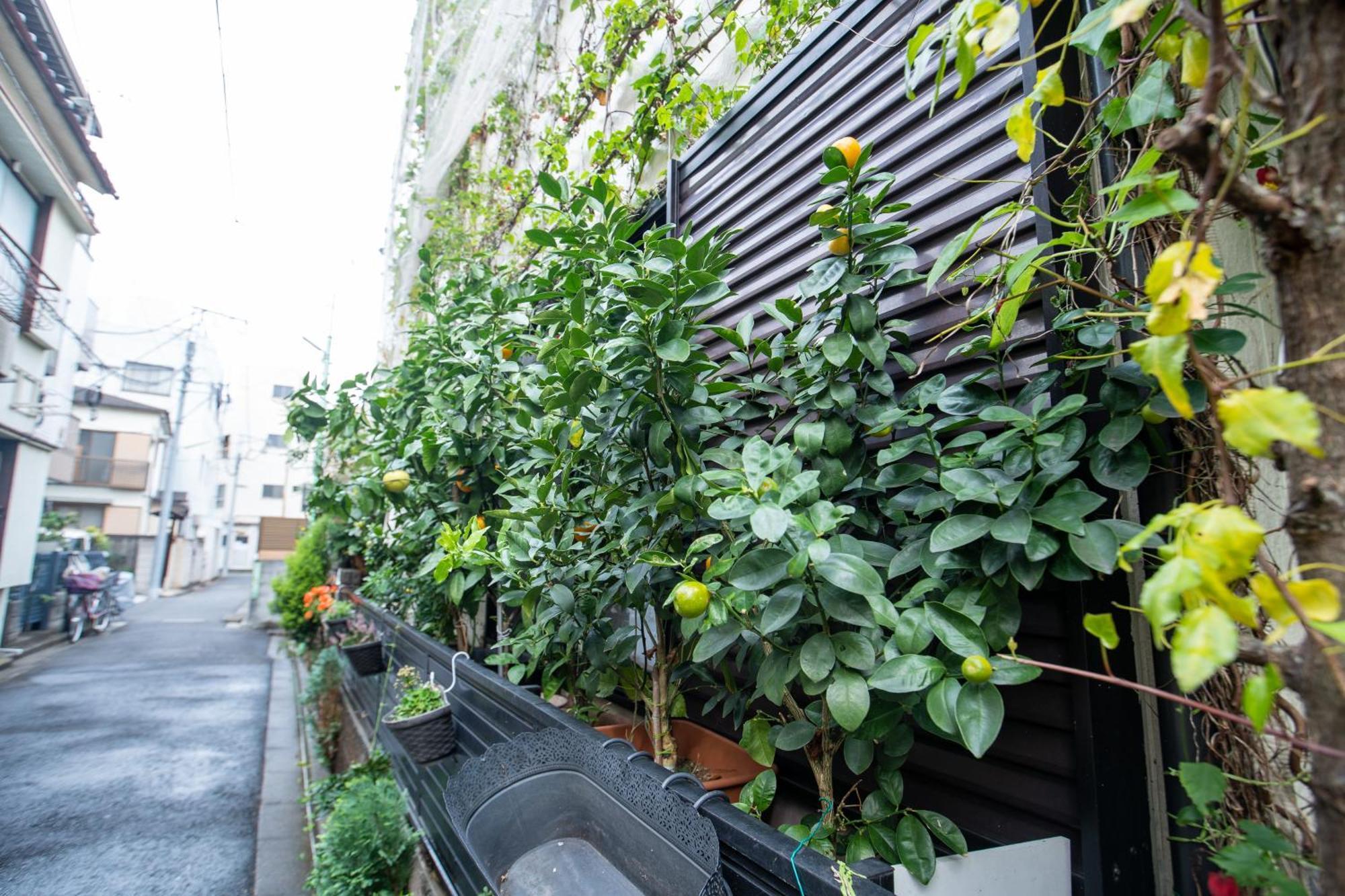 Holiday home 東京吉久花園旅館 Tokyo