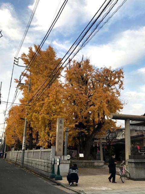 Sky Tree Apartment Tokyo