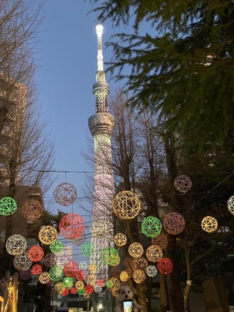Sky Tree *