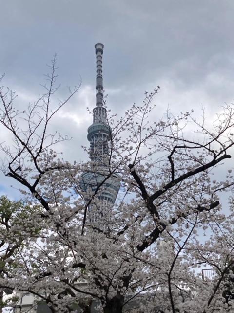 Sky Tree * Tokyo