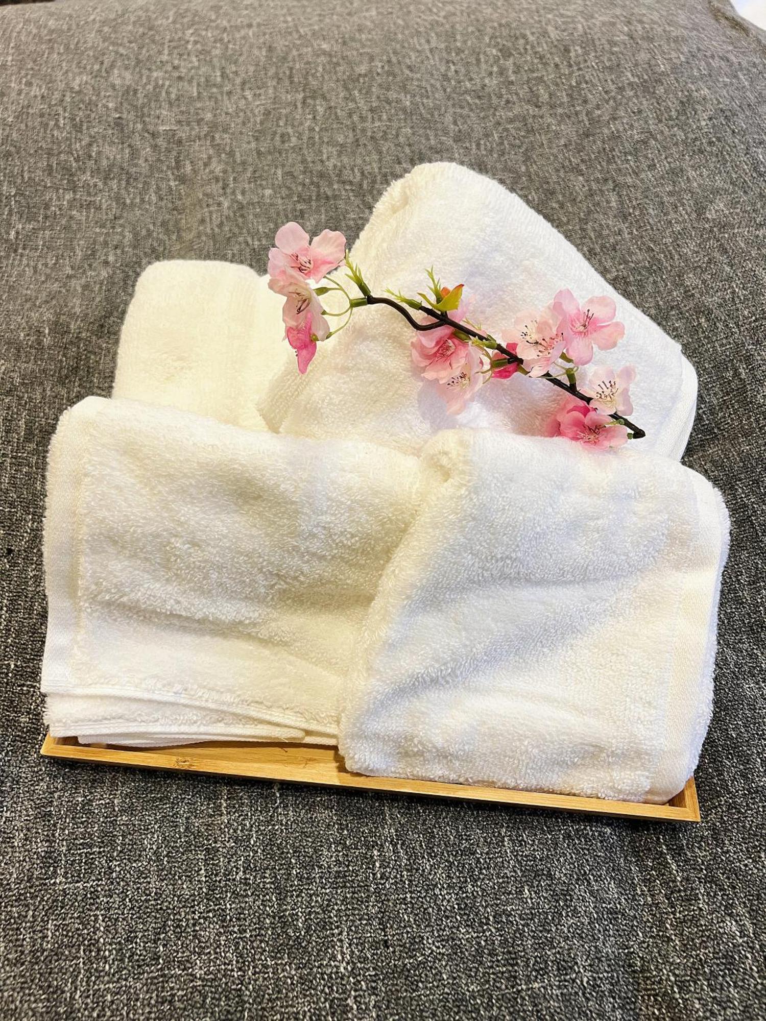 Akihabara K Apartment