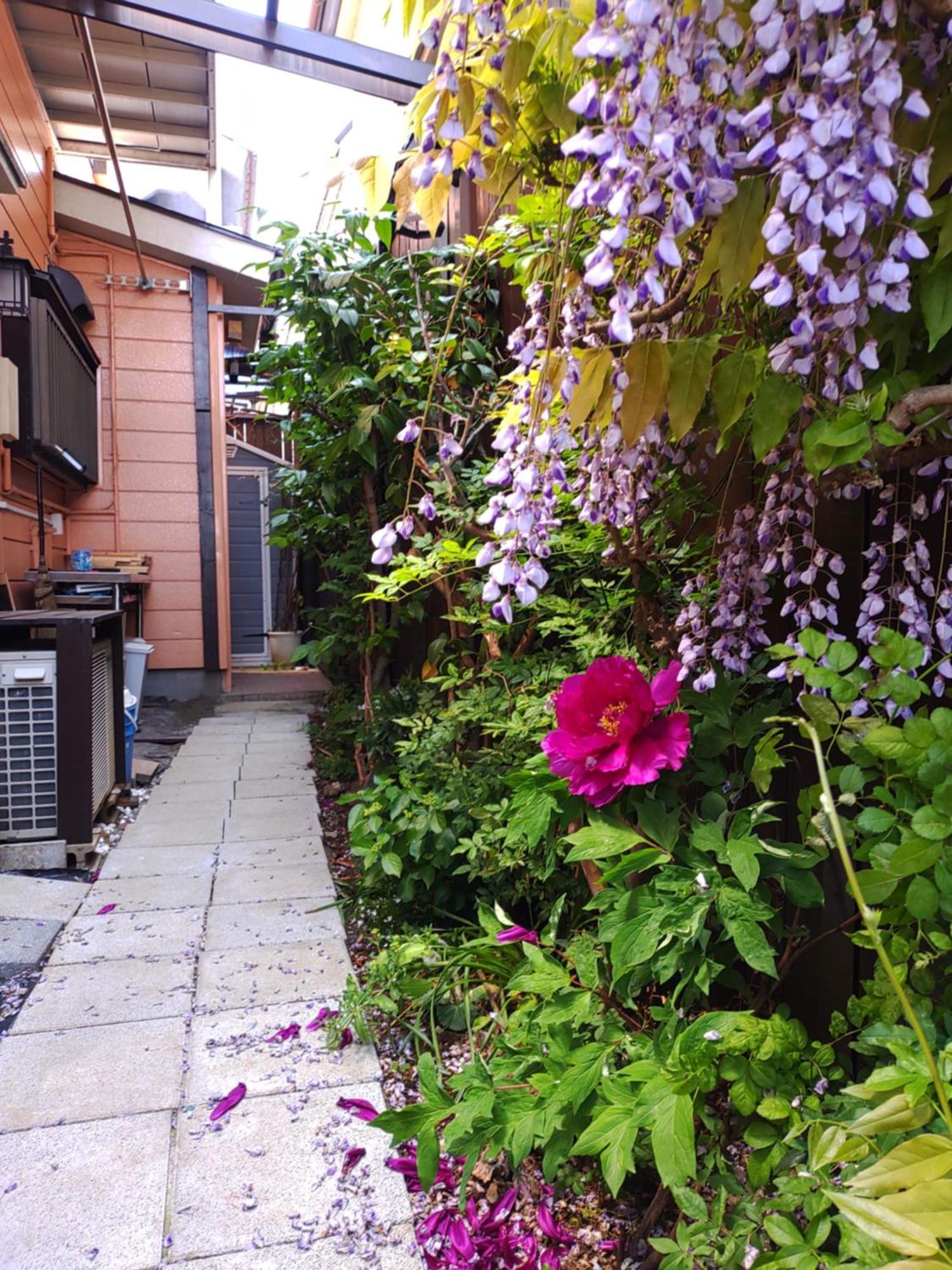 藤紫fujimurasaki Japanese Classic House * Tokyo