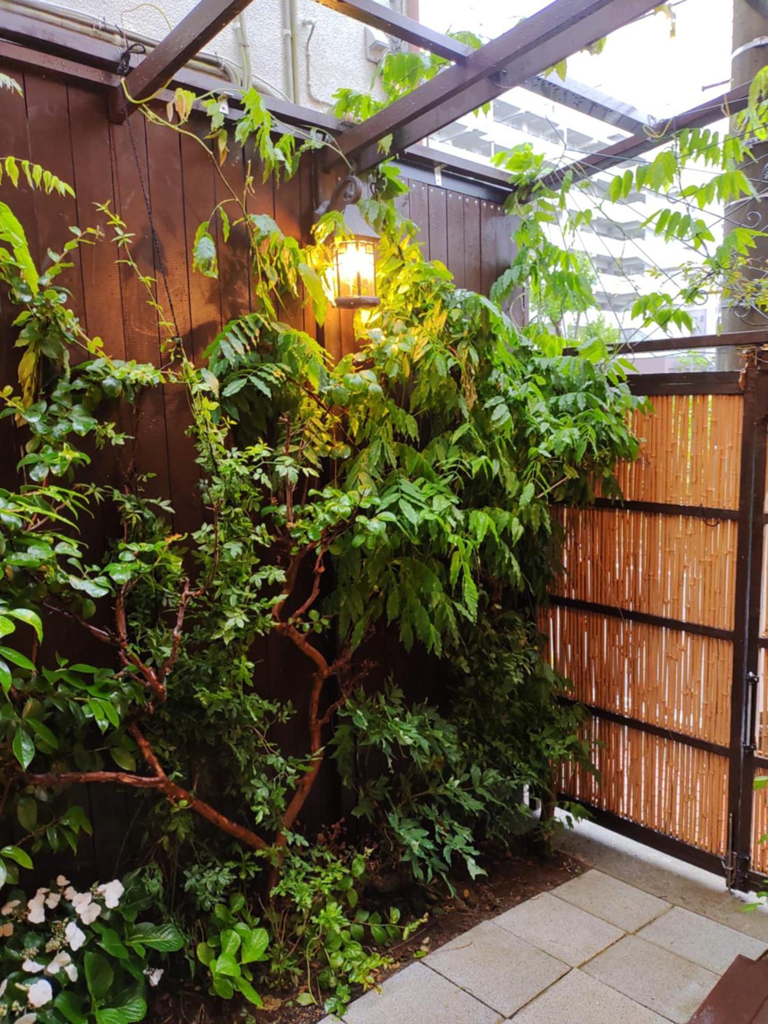 藤紫fujimurasaki Japanese Classic House * Tokyo