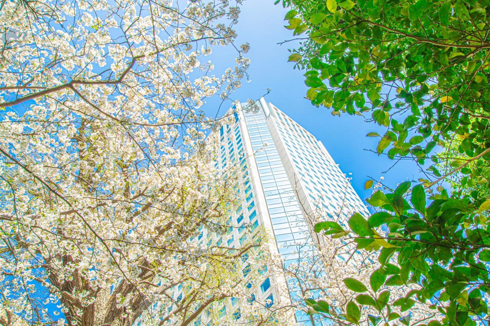 Shinagawa
