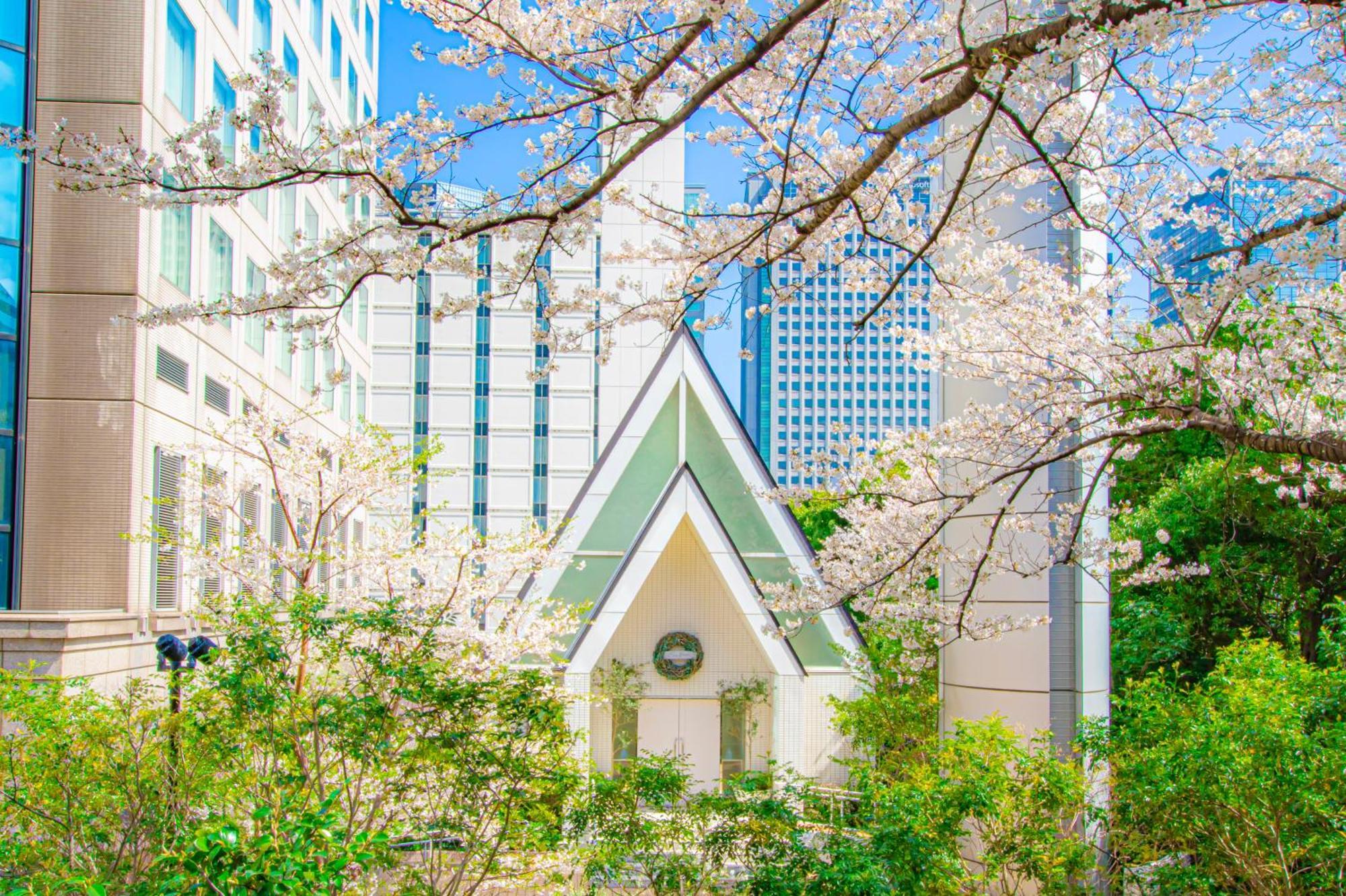 Shinagawa Tokyo