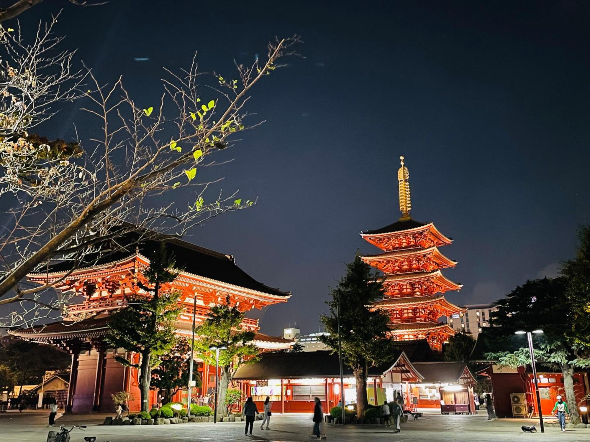 Asakusa Tatami Retreat: Convenient Metro Access *