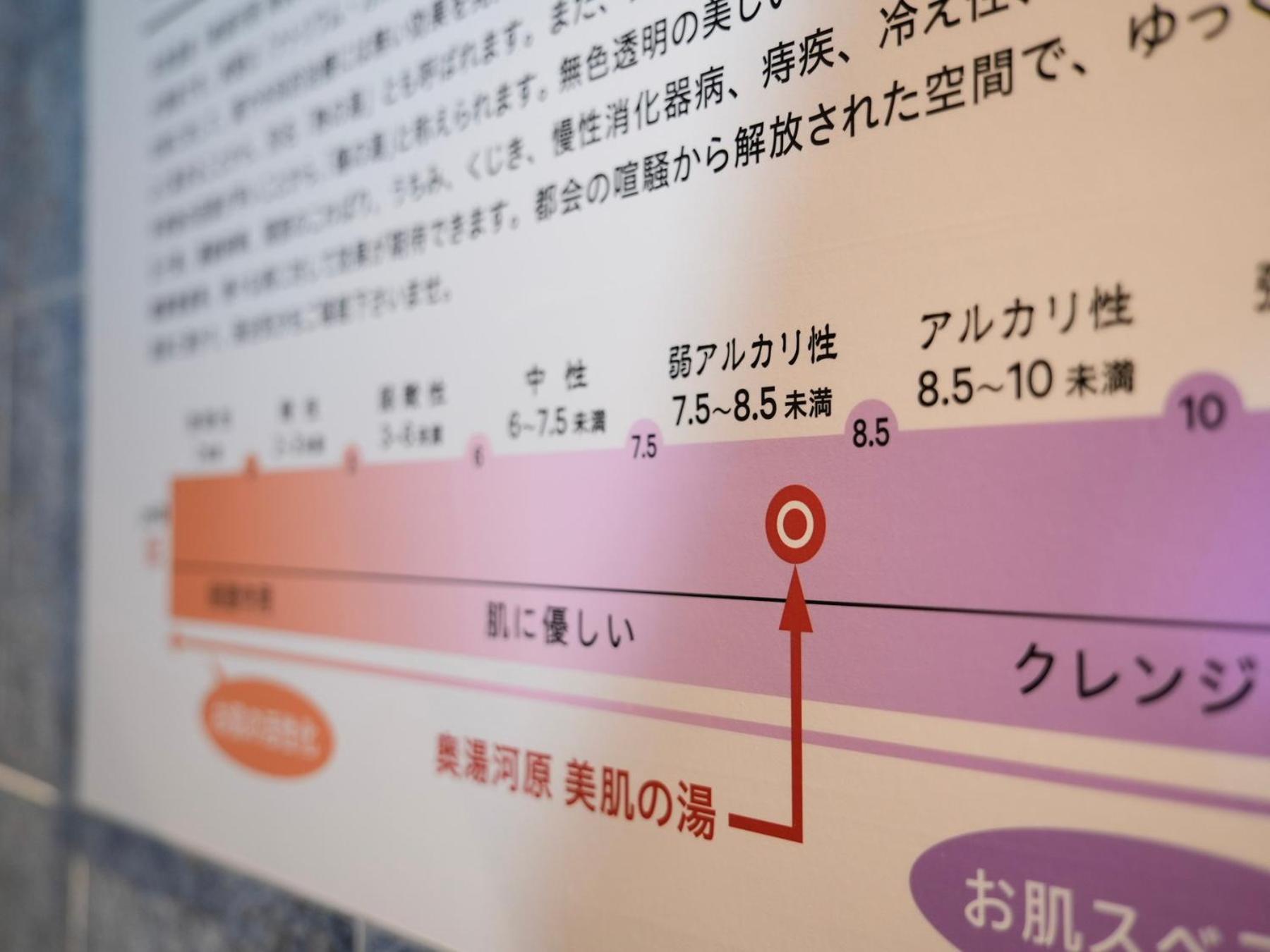 Super Premier Ikebukuro Natural Hot Spring 3* Tokyo