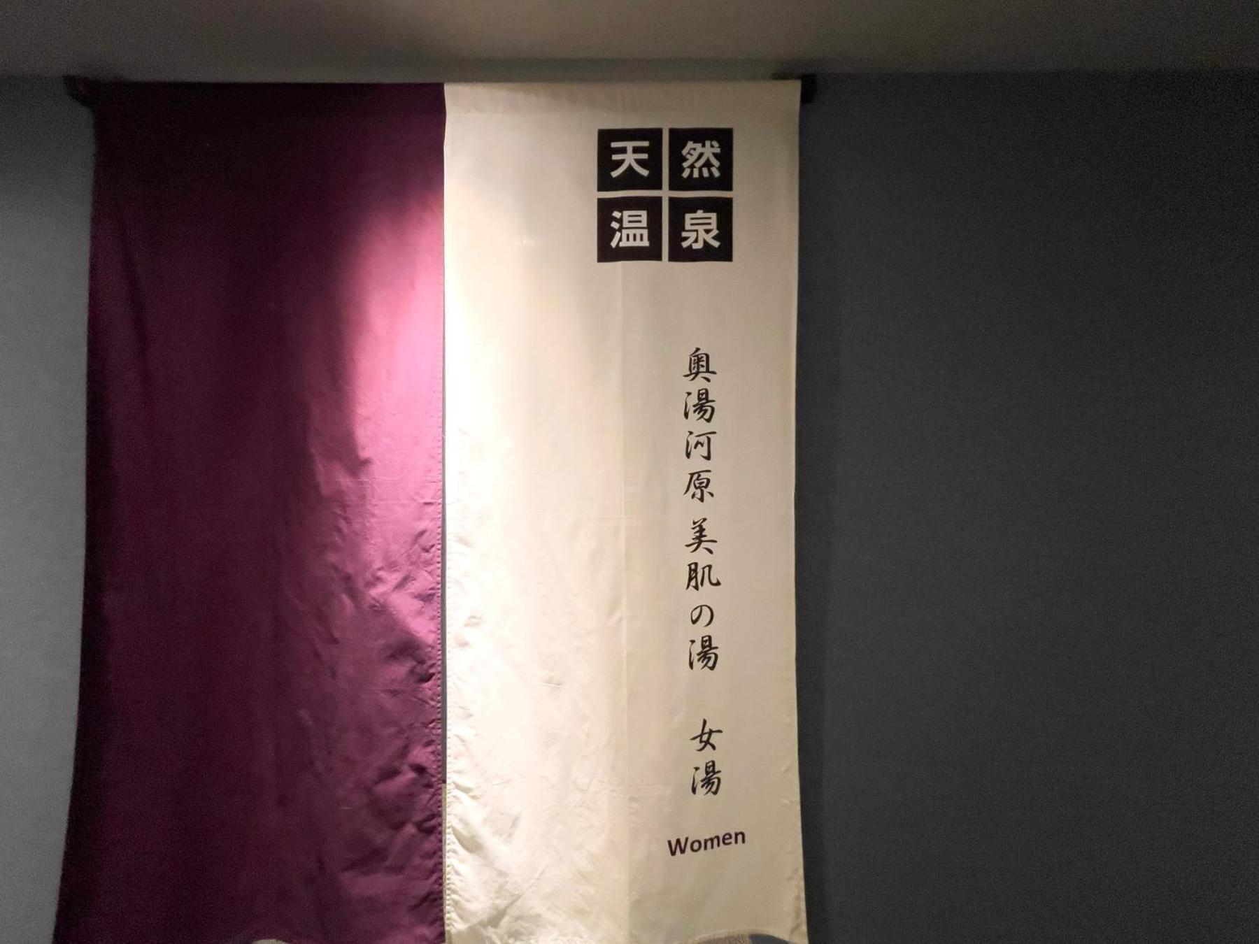 Super Premier Ikebukuro Natural Hot Spring Hotel