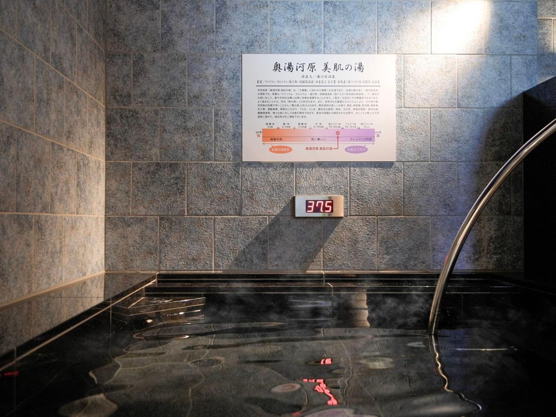 Super Premier Ikebukuro Natural Hot Spring 3* Tokyo