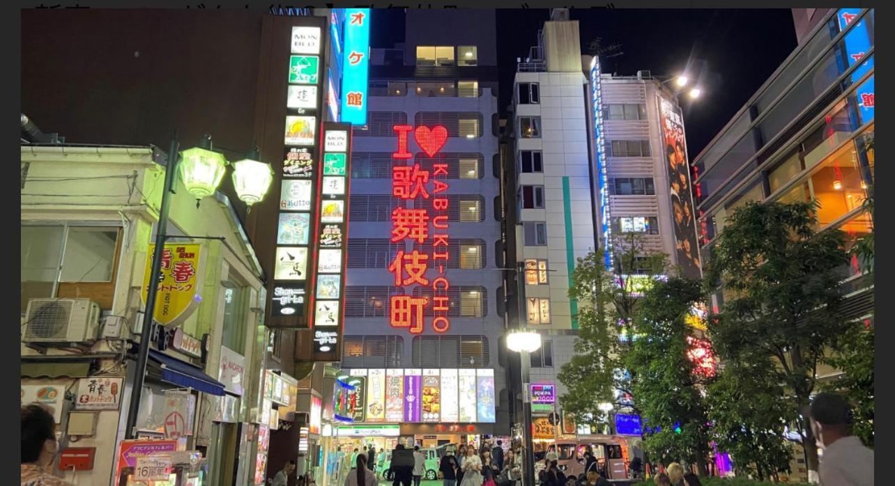 新宿歌舞伎町東新宿站3分钟，徒步伊势丹4分钟免费wi-fi！ Apartment Tokyo