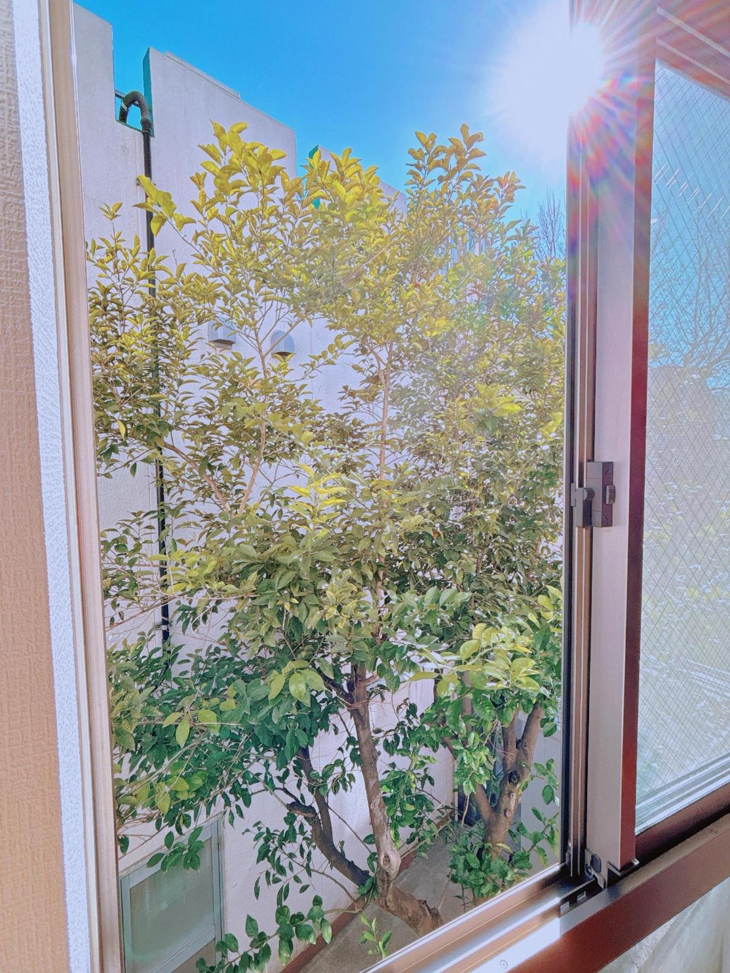 Ikebukuro Three Layers House Kanamecho Stn 5min Walk Max 12 People 池袋三階车站步行5分独栋最大12人 Tokyo