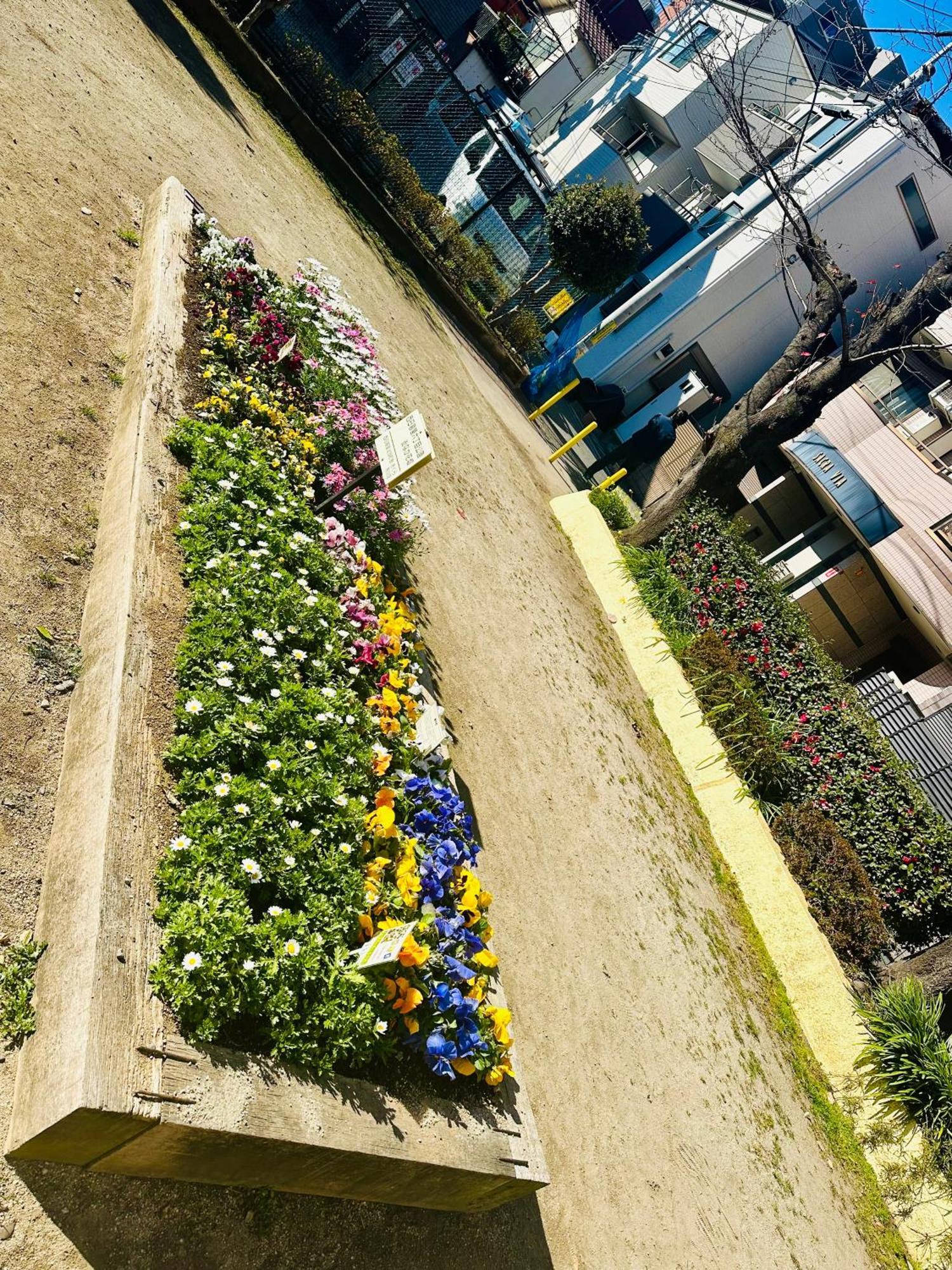 Mori House In西日暮里ⅱ