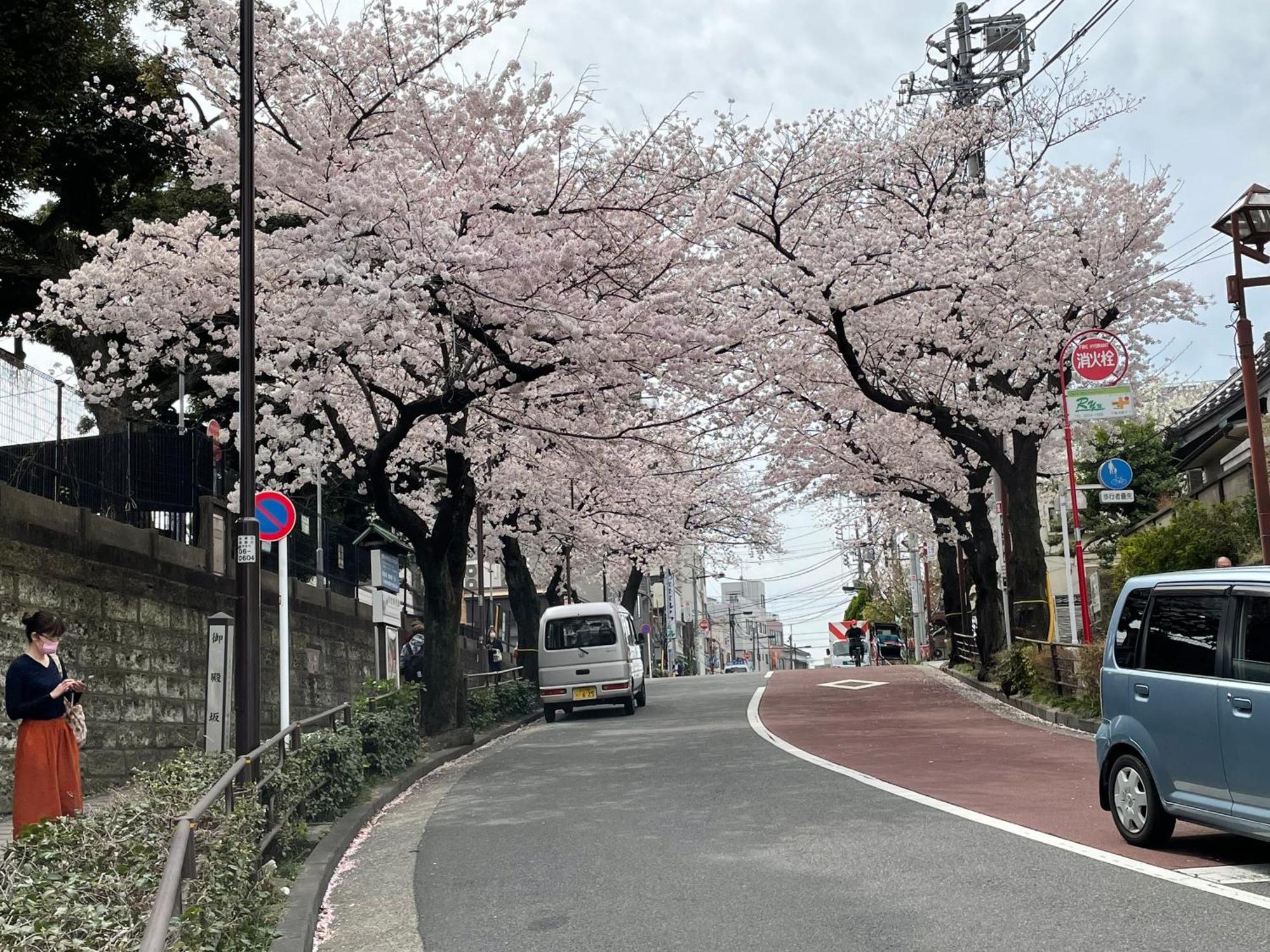 Sakura Nippori Hotel 2*