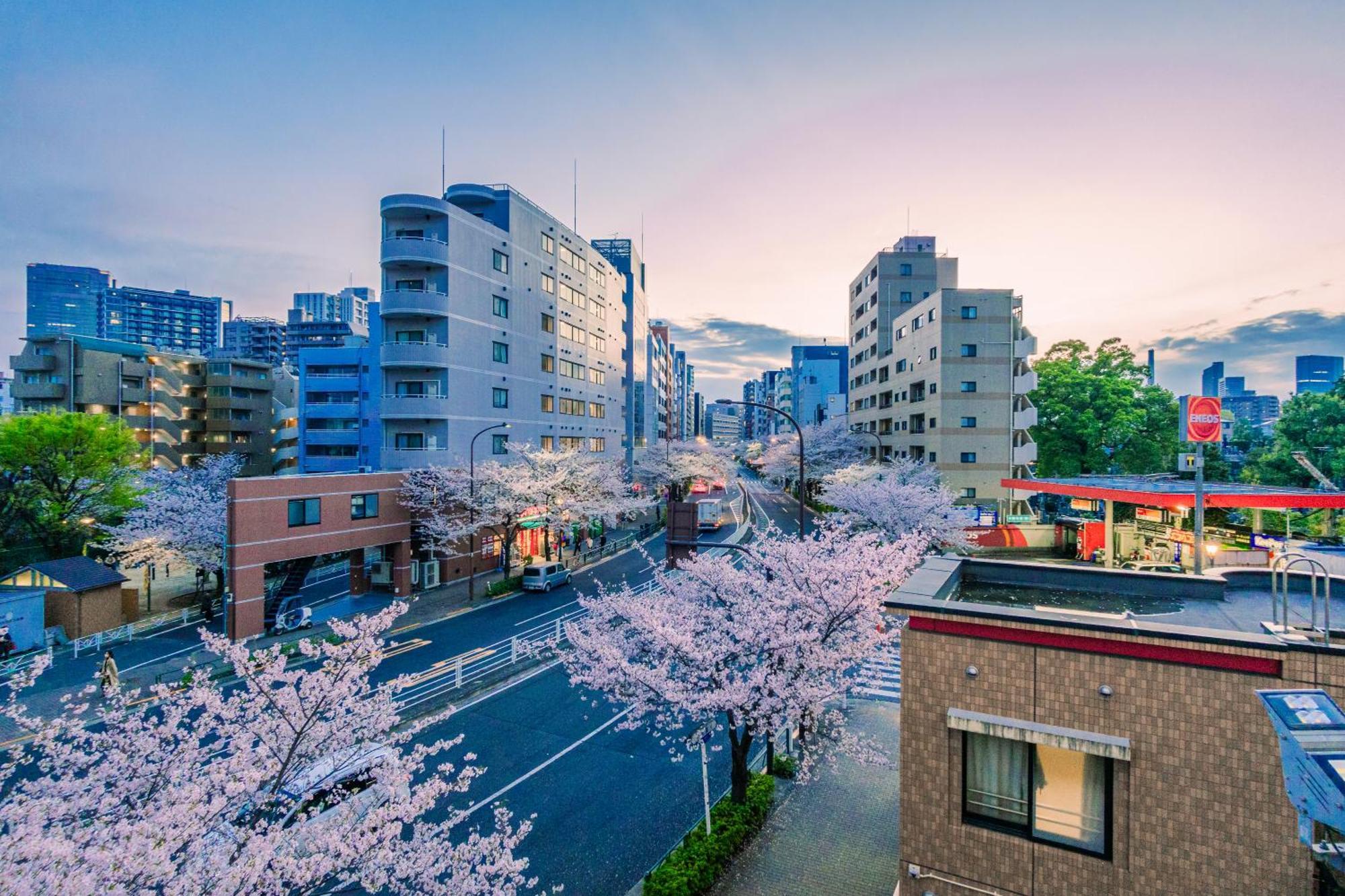 Apartment Sakura 301