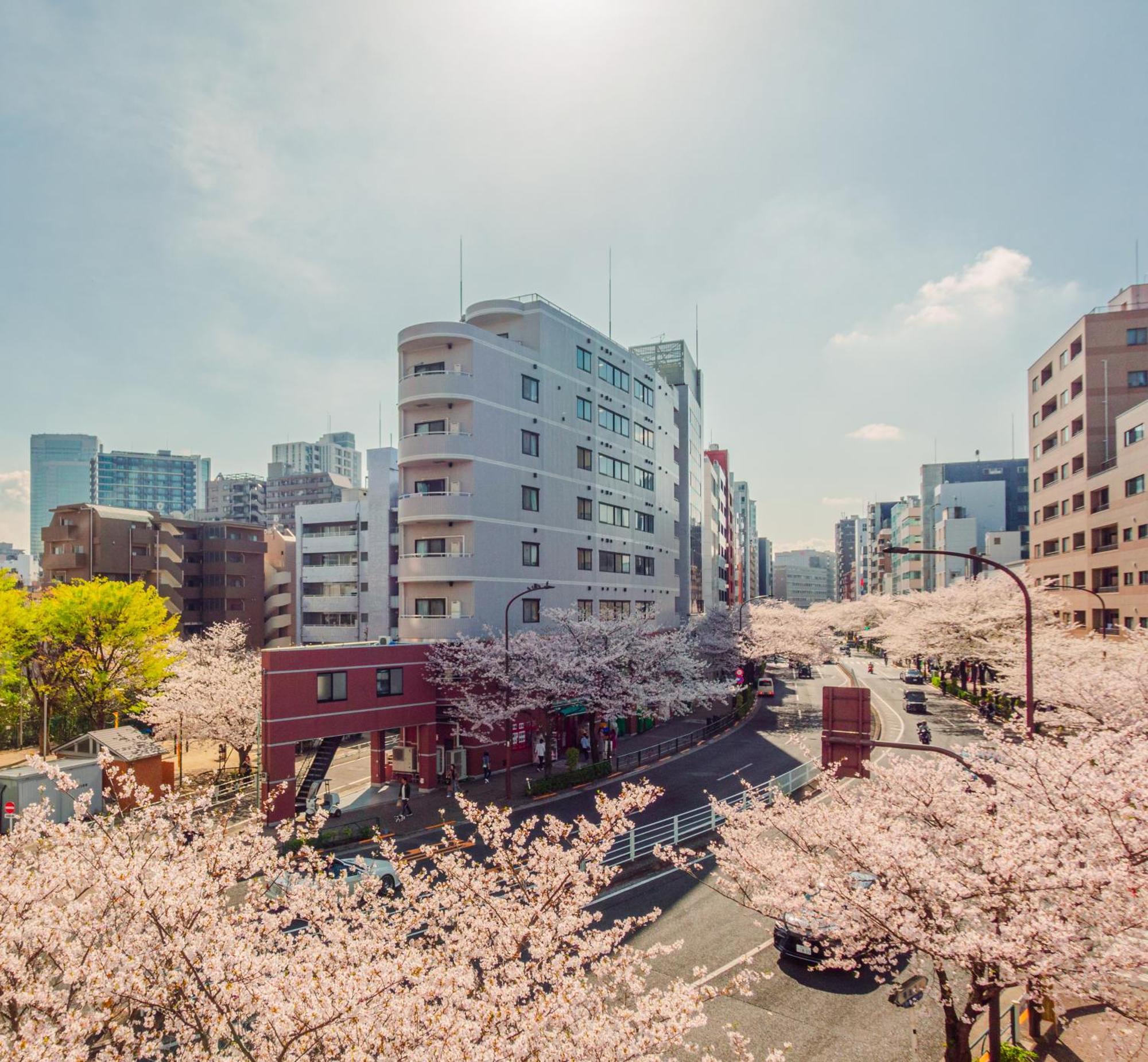 Apartment Sakura 301 Tokyo