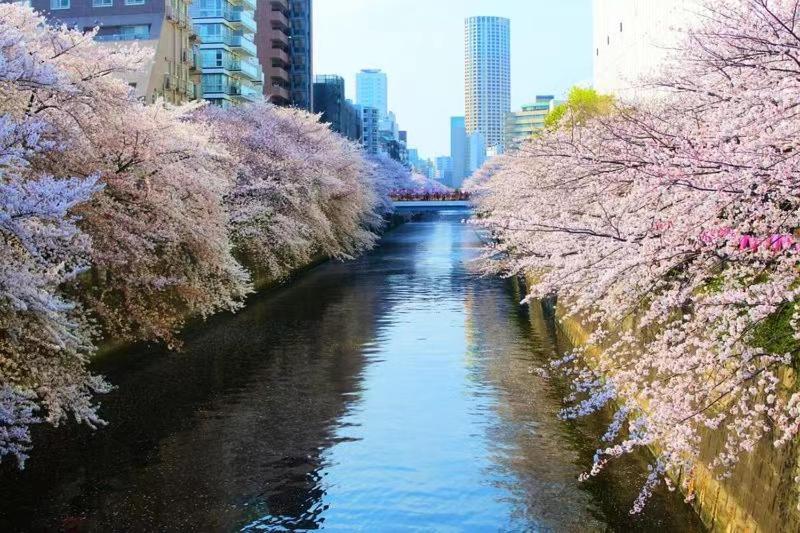 Apartment Meguro House Close To Meguro River Tokyo