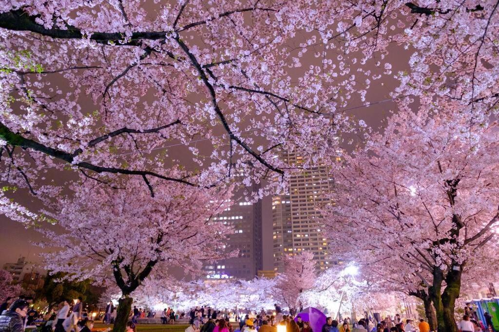 801 5mins From Jr Kinshicho! Near Asakusa&skytree! Apartment Tokyo
