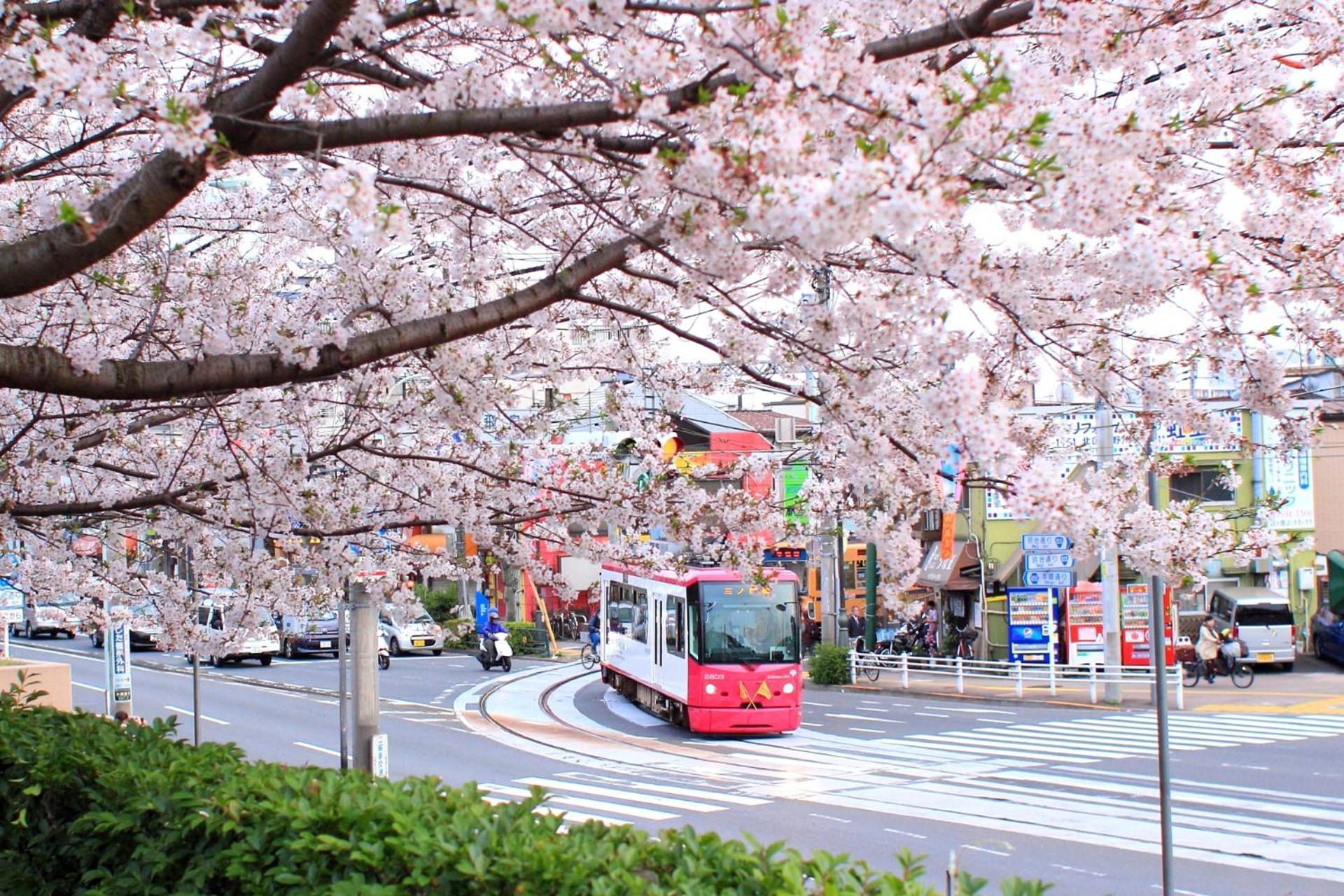 Guest house Bisk Park Higashi-jujo *