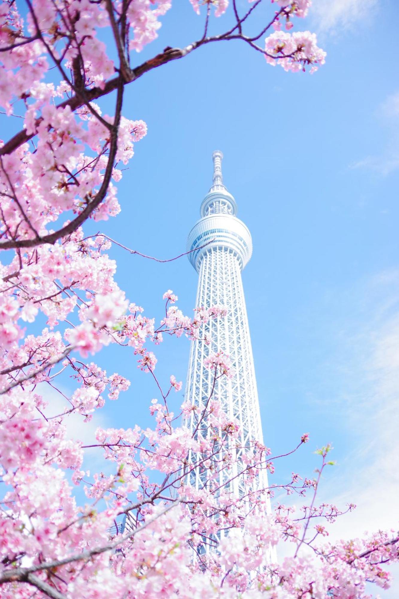 Hotel Ueno Designer Room: Park & Station Proximity Tokyo