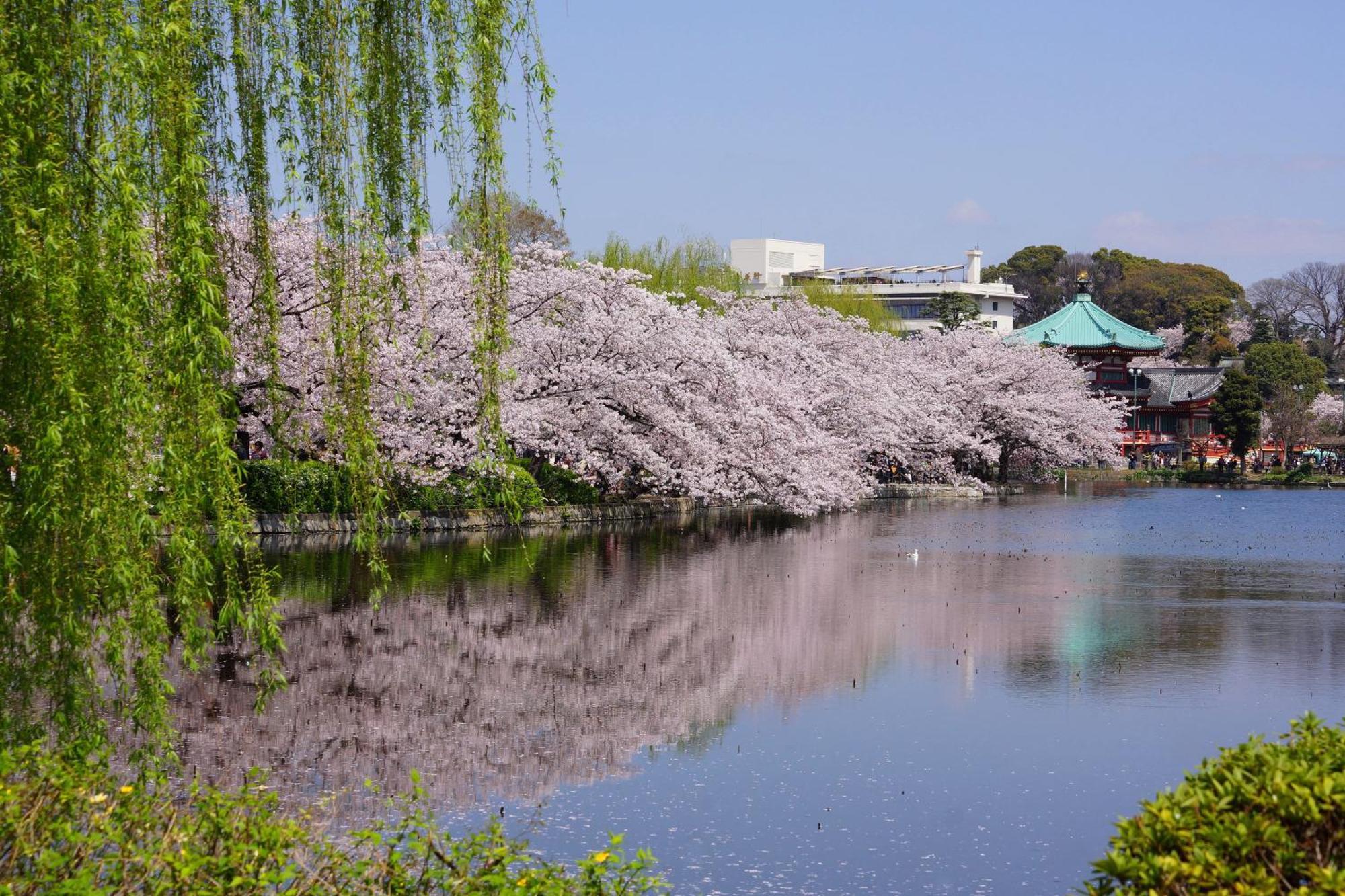 Sotetsu Fresa Tokyo-kyobashi 3* Tokyo