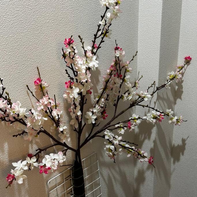 Style Labお花茶屋 * Tokyo