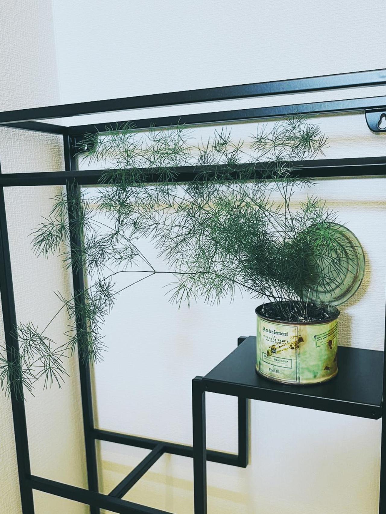 Apartment 下町立石駅近民泊 Tokyo