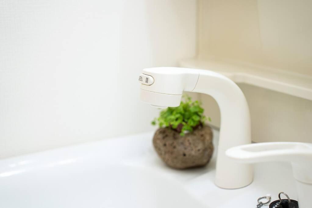 Apartment 新小岩駅徒歩3分デメテル301 Tokyo