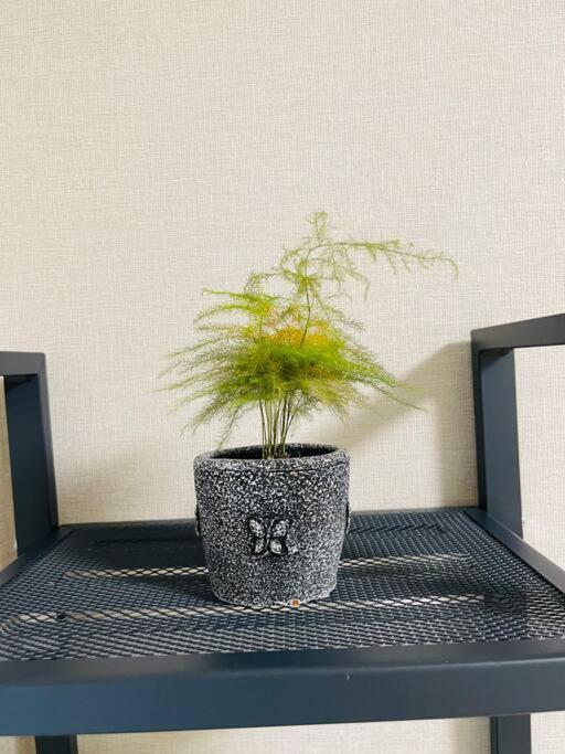 新小岩デメテル303 Apartment