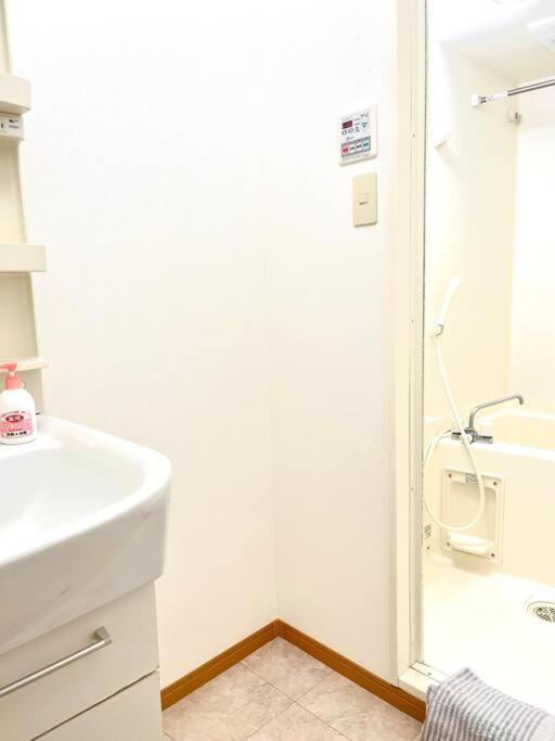 日本の下町新小岩デメテル202 *