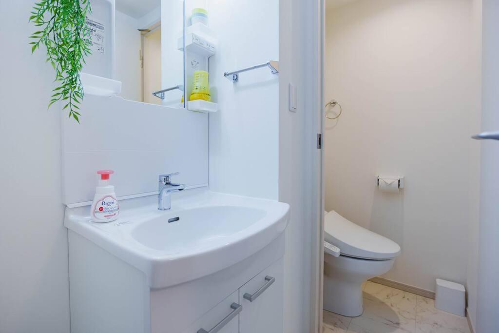 C Newly Renovated Hotel, Direct Access To Ueno, Asakusa, Disneyland, Airport *
