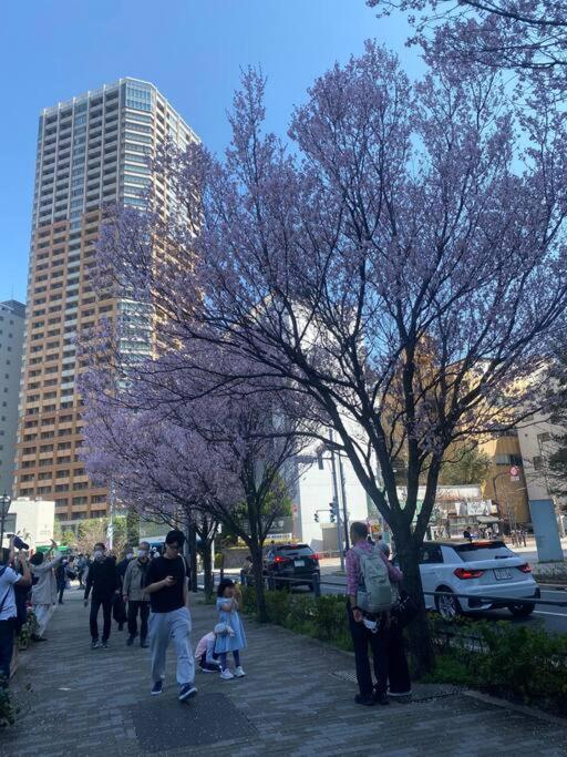 小岩民泊宿 *