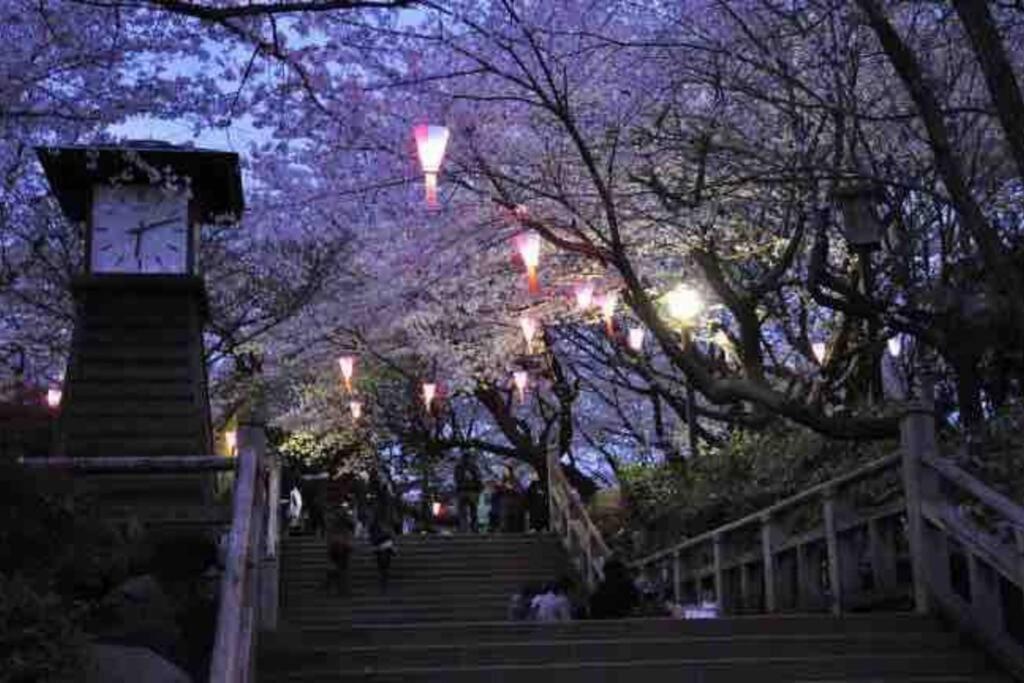 Apartment Nishisugamo Full Renovated House Next To A Cherry Blossom Park