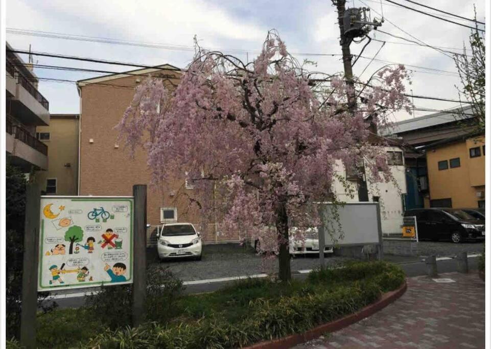 Apartment Nishisugamo Full Renovated House Next To A Cherry Blossom Park