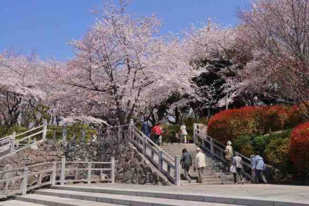 Nishisugamo Full Renovated House Next To A Cherry Blossom Park Apartment Tokyo