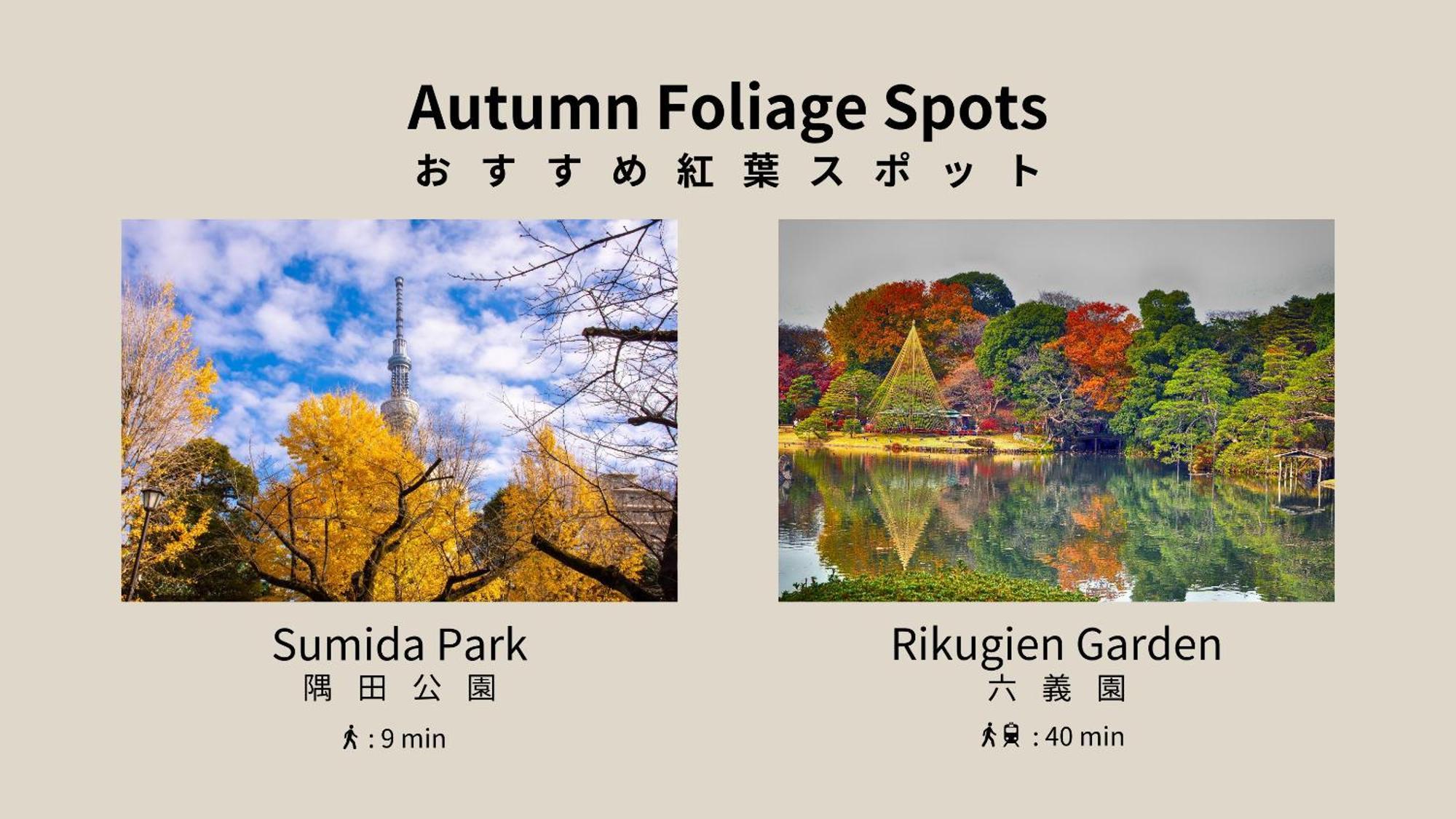 Playsis Asakusa Hotel 3*