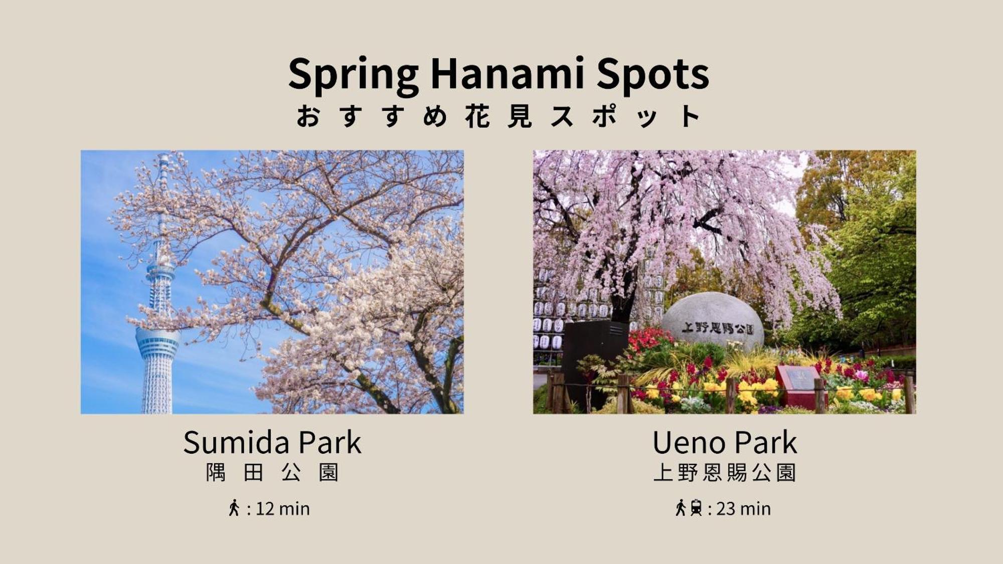 Hotel Playsis Asakusa 3*