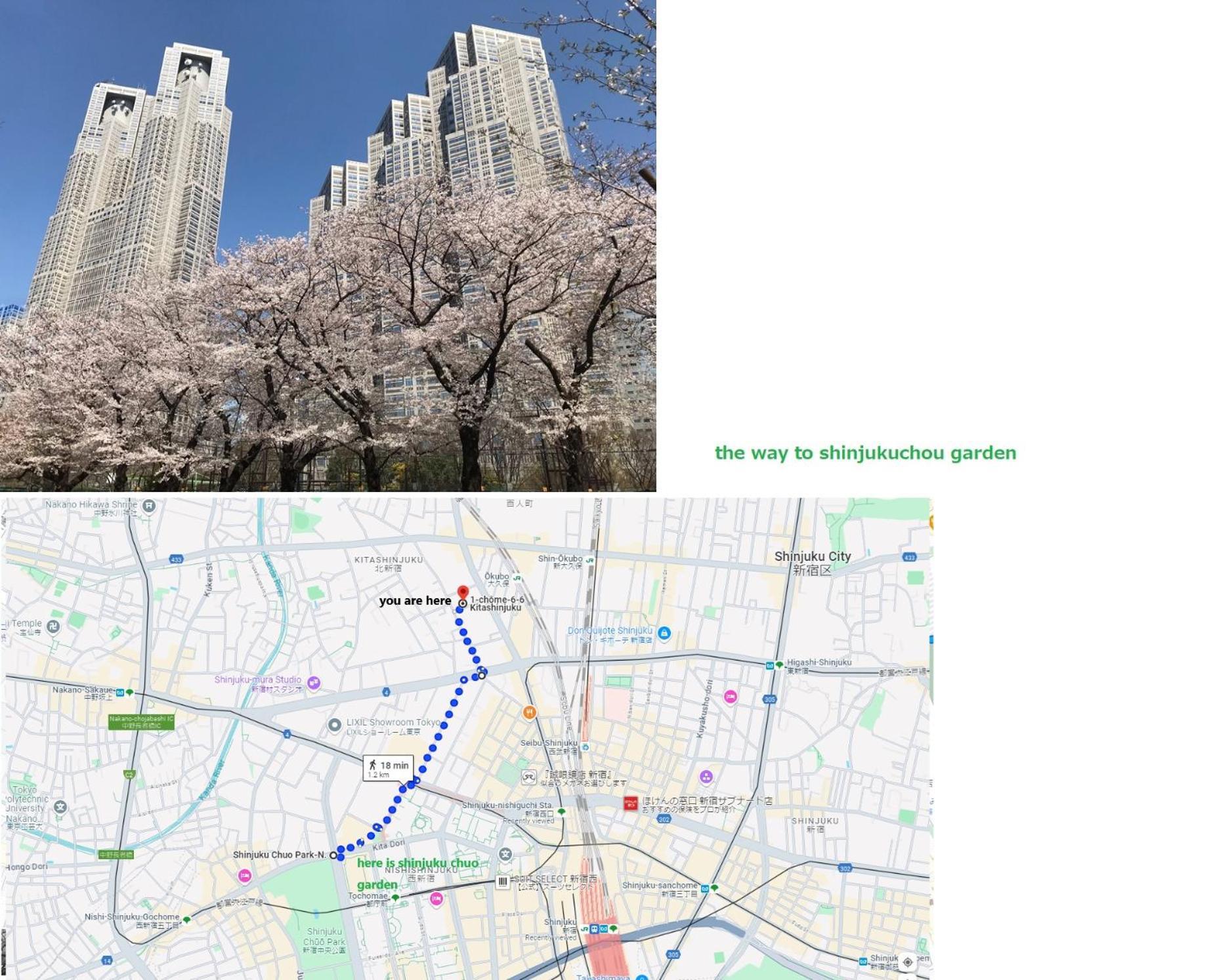 Apartment 大久保駅から４分、貸切、韓国ダウン至近、新宿/歌舞伎町に徒歩圏内 、단독사용민박