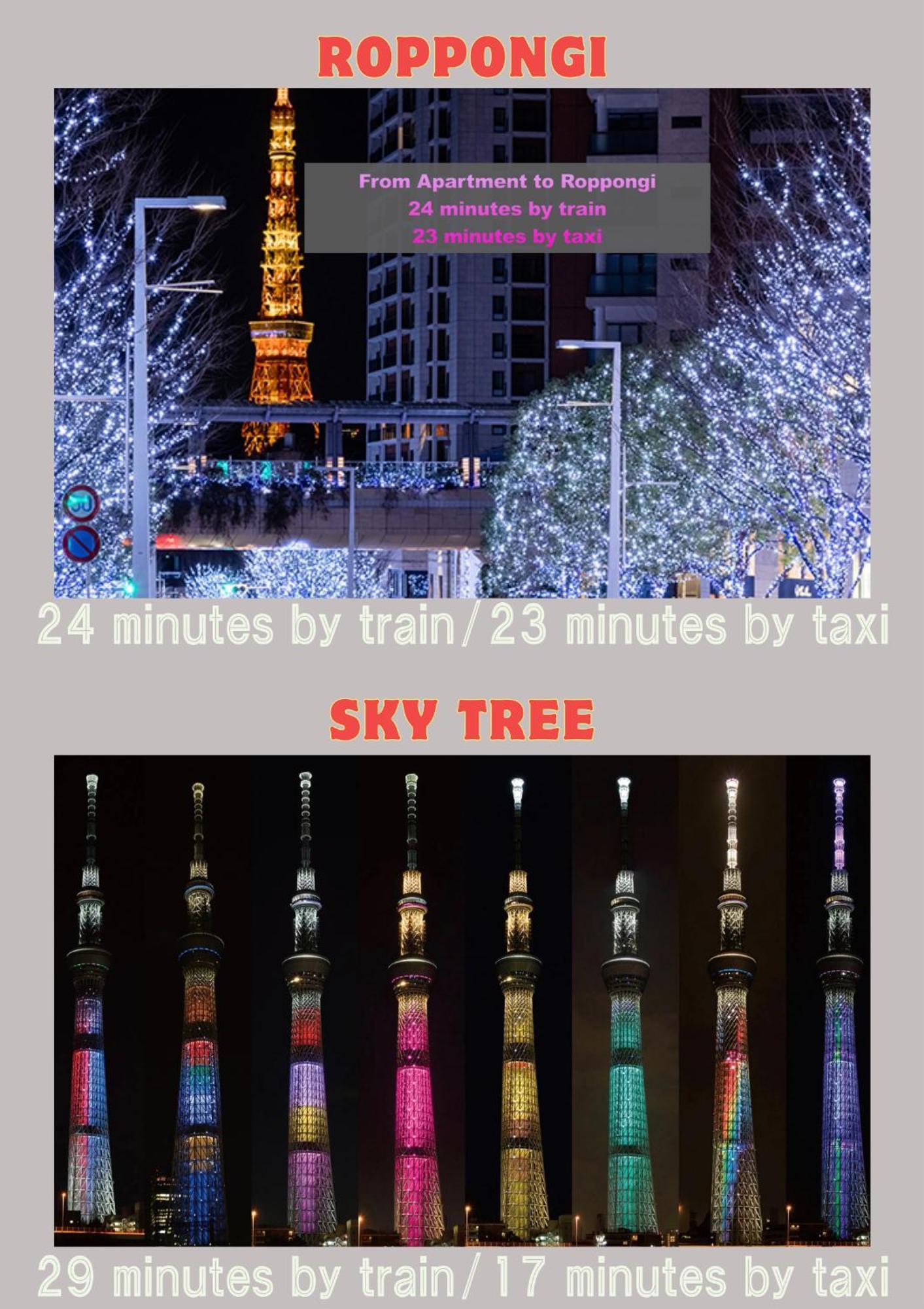 Lovetokyo Easy Access Nezu Sunset House 根津駅徒歩1分 2-4人 エレベーター 上野 谷中銀座 根津神社 東京大学 新宿 渋谷 銀座 築地 原宿近い Apartment