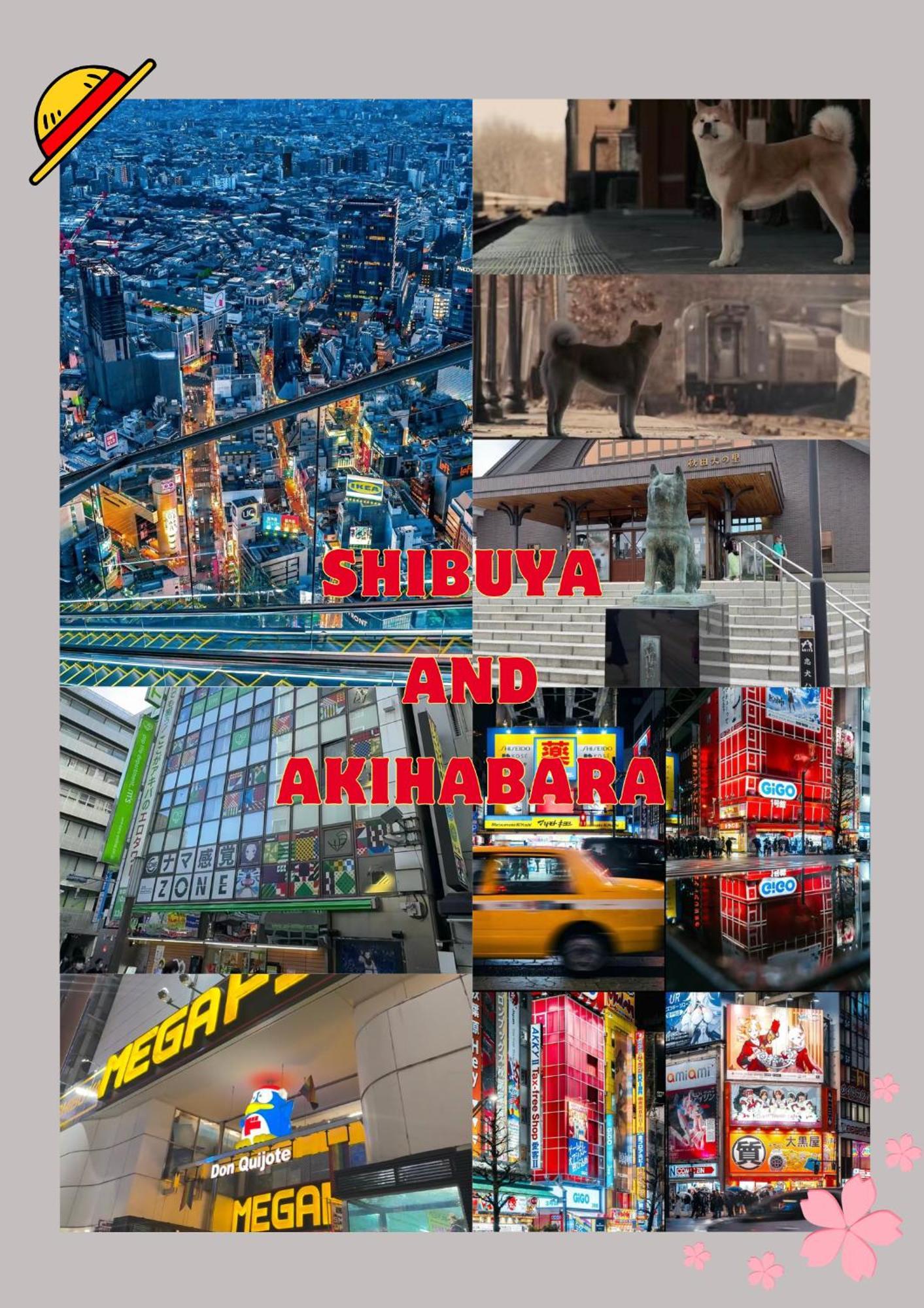 Lovetokyo Easy Access Nezu Sunset House 根津駅徒歩1分 2-4人 エレベーター 上野 谷中銀座 根津神社 東京大学 新宿 渋谷 銀座 築地 原宿近い Apartment *