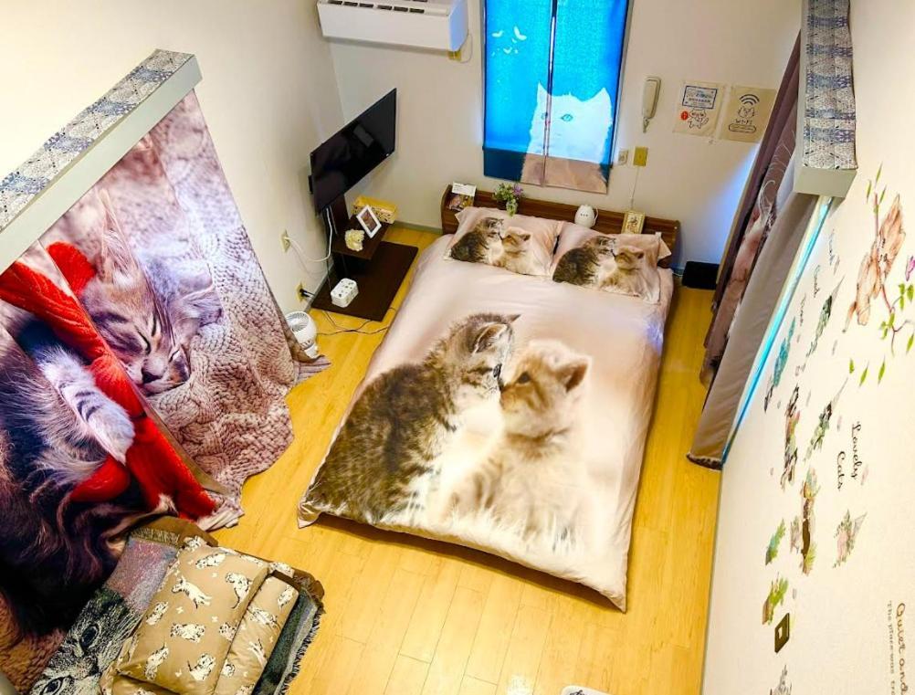 Apartment Shibuya Shinjyuku Cat House ! Tokyo