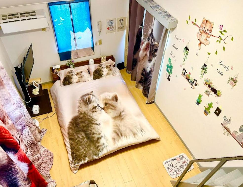 Shibuya Shinjyuku Cat House ! Apartment *
