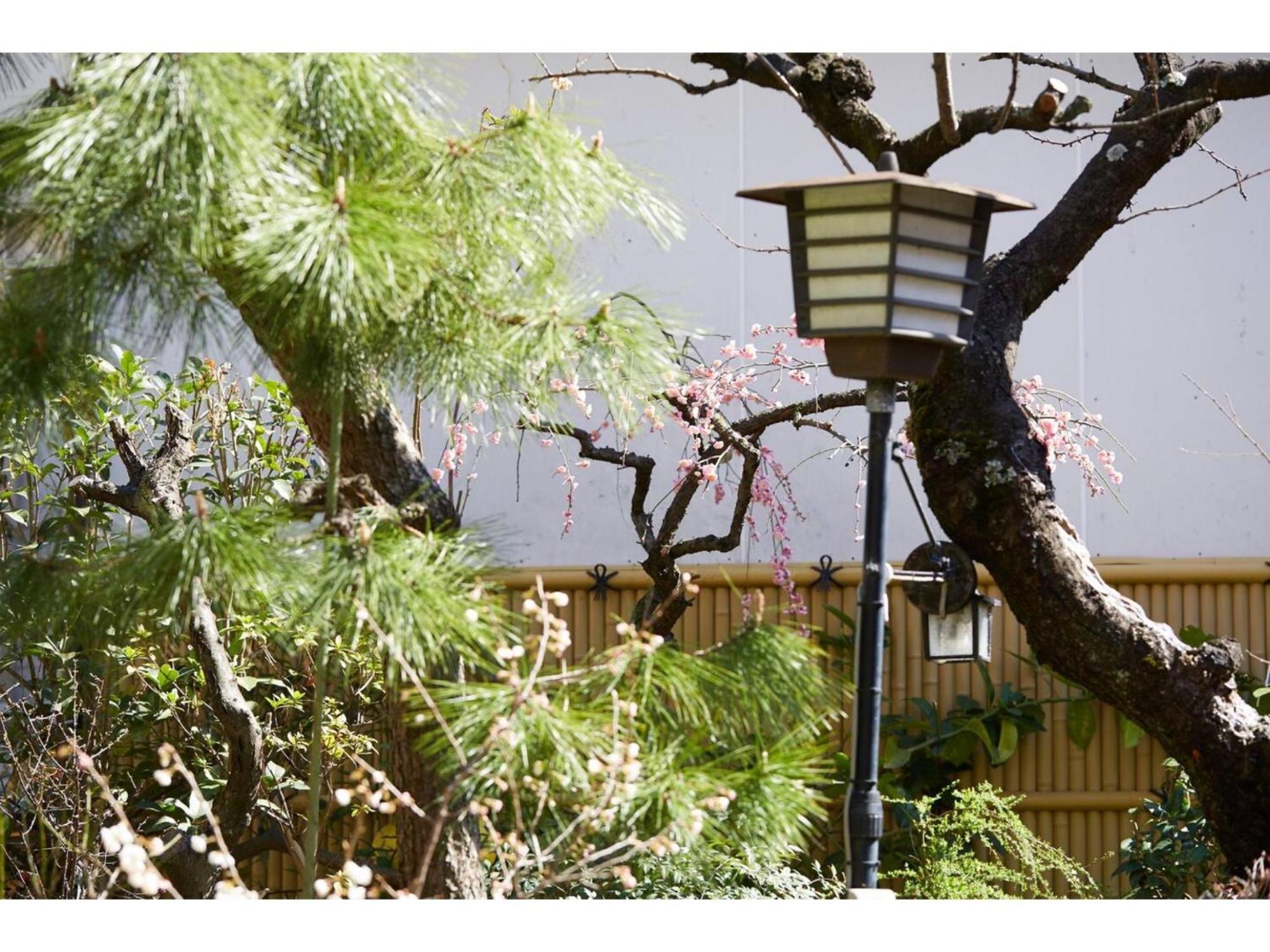 Gu - Vacation 18156 Holiday home Tokyo