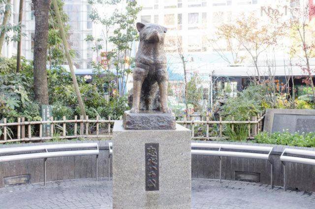 S6 Shibuya Center-350m From Shibuya St Ation * Tokyo
