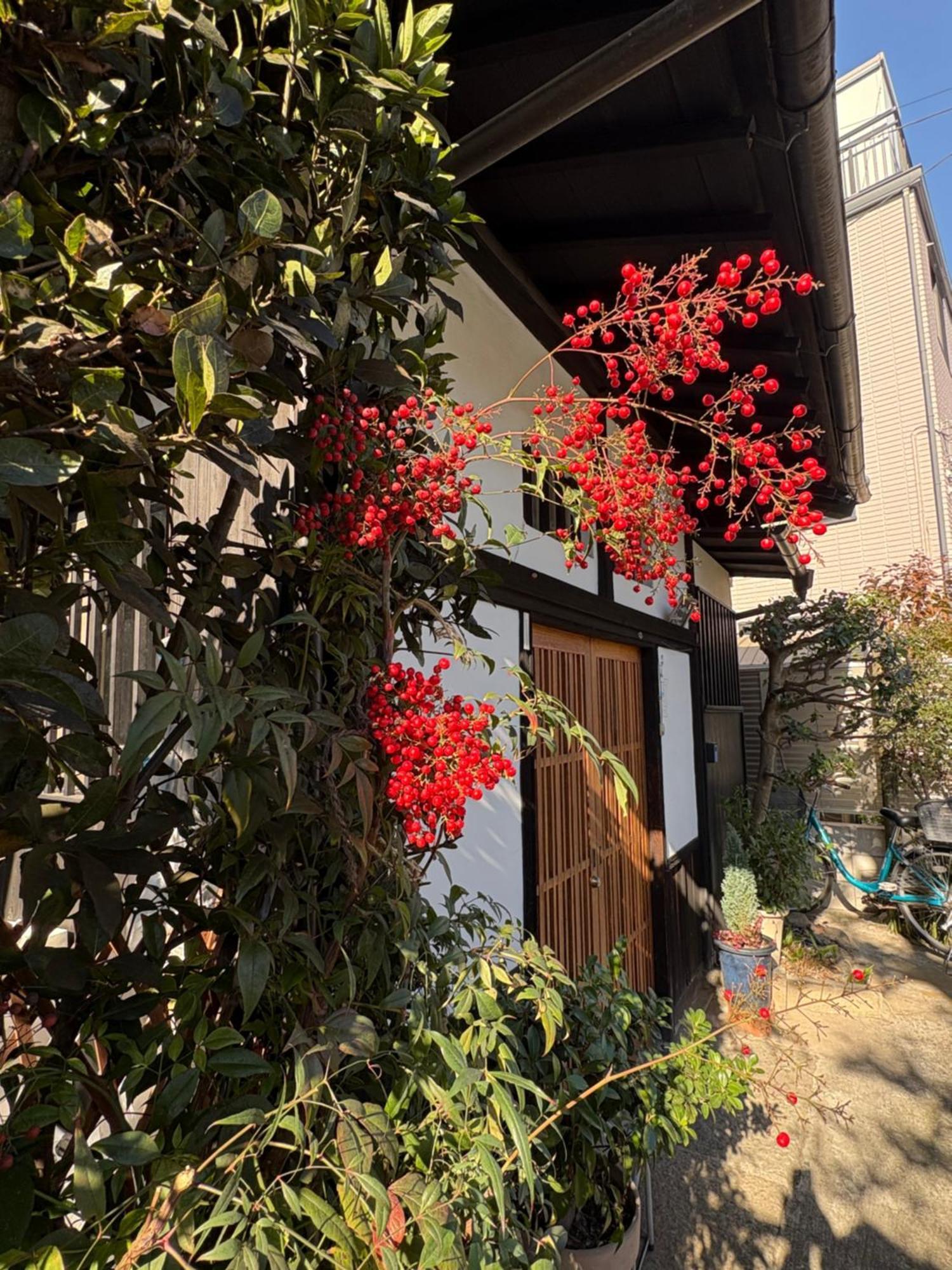 Kitazawa Cozy House Guest house